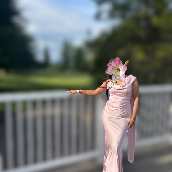 Celine Corset Drape Satin Gown - Pink - Picture 5 of 10